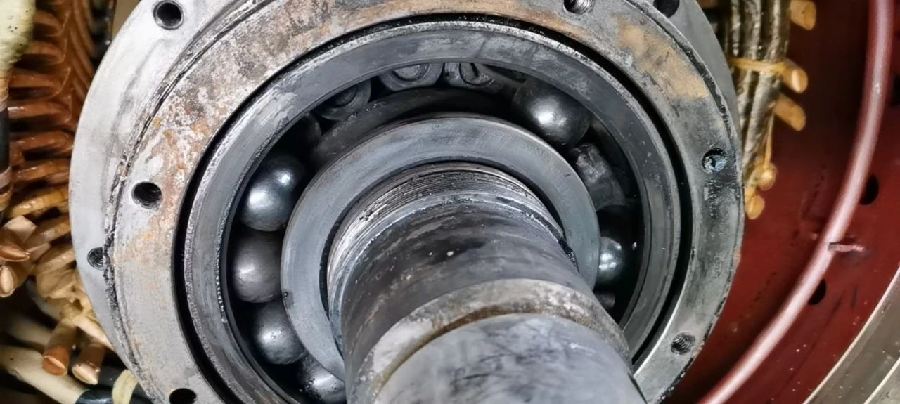 1730363784784405.jpg 微信圖片_20241031134002.jpg